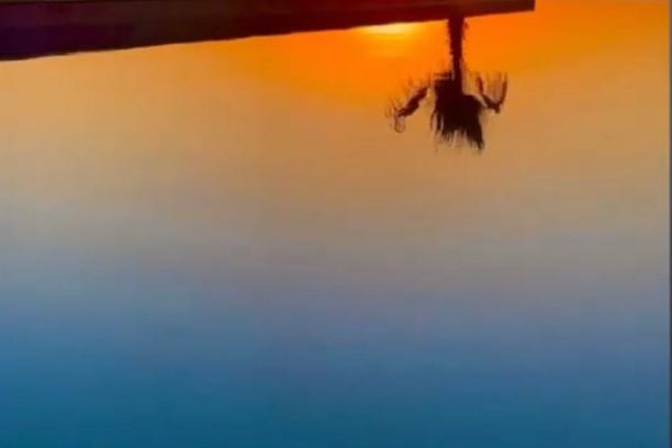 6+1 Villa with Private Pool and Sea View for Rent in Bodrum Turgutreis